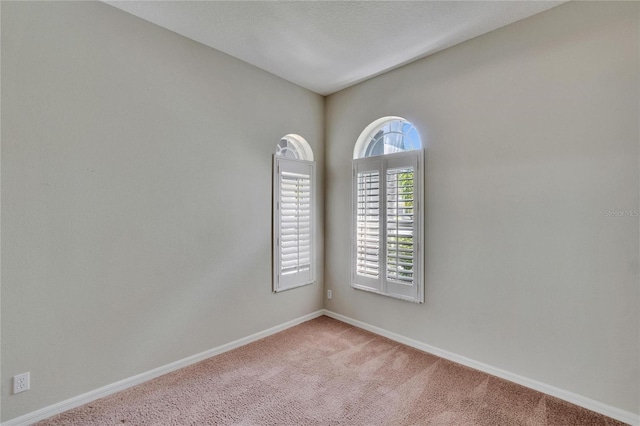 27440 Cedar Park Ct, Wesley Chapel, FL 33544 - spare room featuring carpet floors and baseboards