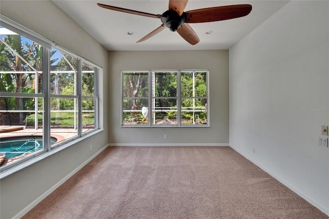 27440 Cedar Park Ct, Wesley Chapel, FL 33544 - empty room with a ceiling fan, carpet, and baseboards
