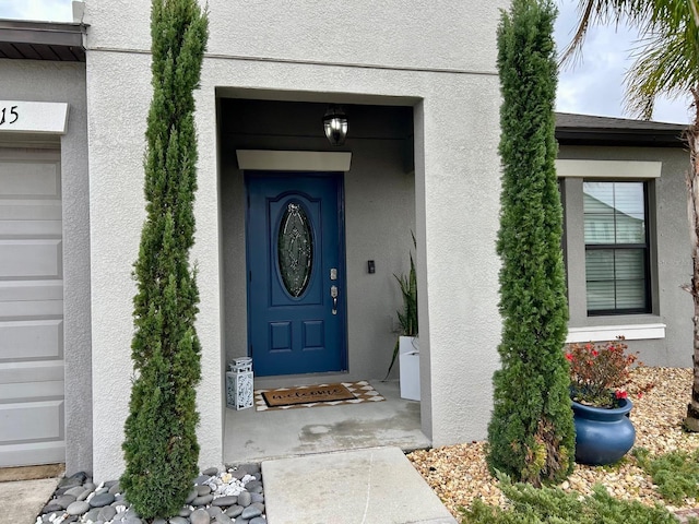 14015 Arbor Pines Dr, Riverview, FL 33579 - property entrance with stucco siding