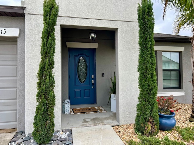 14015 Arbor Pines Dr, Riverview, FL 33579 - view of exterior entry with stucco siding