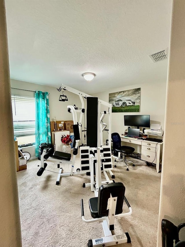 14015 Arbor Pines Dr, Riverview, FL 33579 - exercise area with carpet floors and a textured ceiling