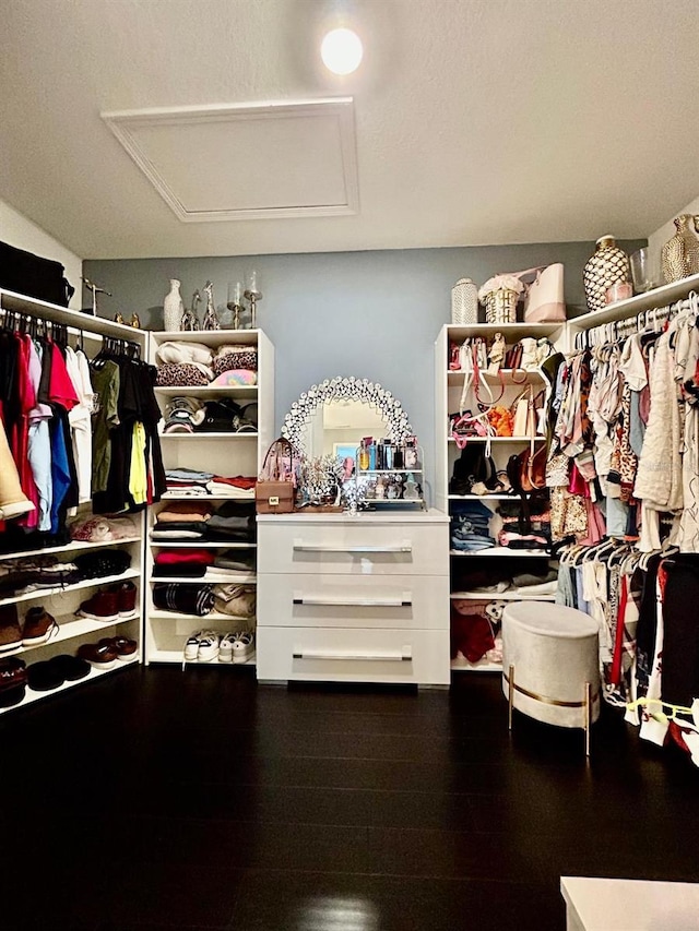 14015 Arbor Pines Dr, Riverview, FL 33579 - walk in closet featuring attic access