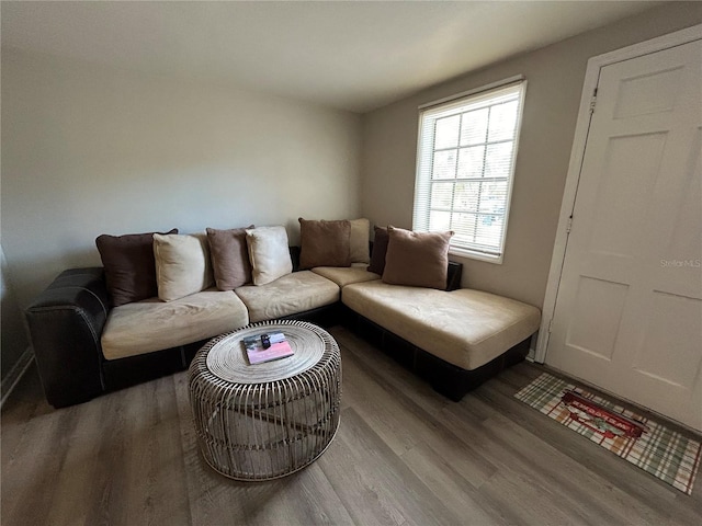 3625 Windham Dr, Holiday, FL 34691 - photo 4