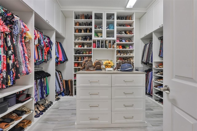 6016 Shadowlake Dr, Apollo Beach, FL 33572 - view of walk in closet