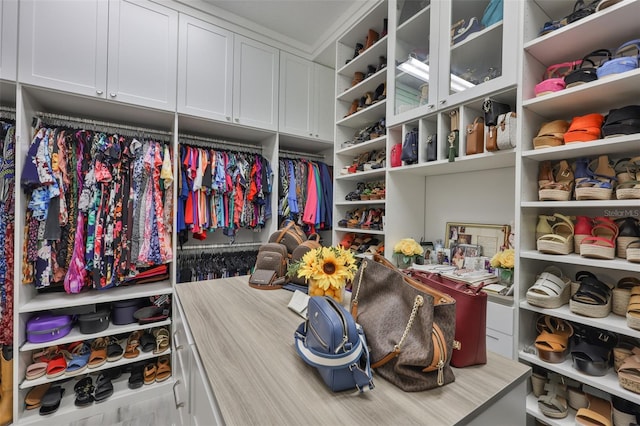 6016 Shadowlake Dr, Apollo Beach, FL 33572 - view of walk in closet