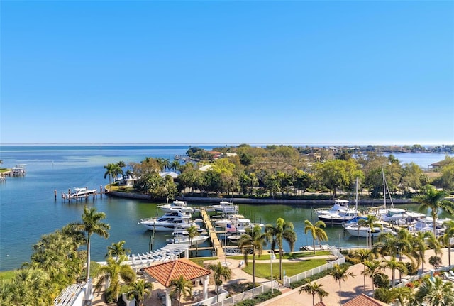 1325 Snell Isle Blvd NE Unit 708, Saint Petersburg, FL 33704 - water view with a boat dock