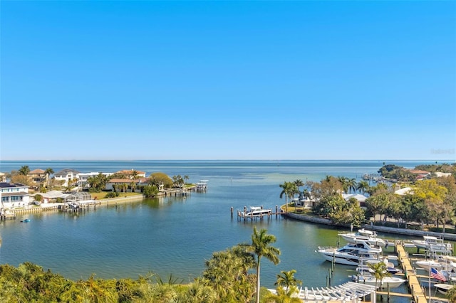 1325 Snell Isle Blvd NE Unit 708, Saint Petersburg, FL 33704 - water view featuring a boat dock