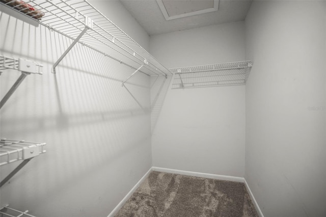 2581 Countryside Blvd Unit 2309, Clearwater, FL 33761 - walk in closet with carpet