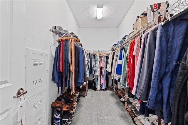 32193 Watoga Loop, Wesley Chapel, FL 33543 - spacious closet with carpet floors