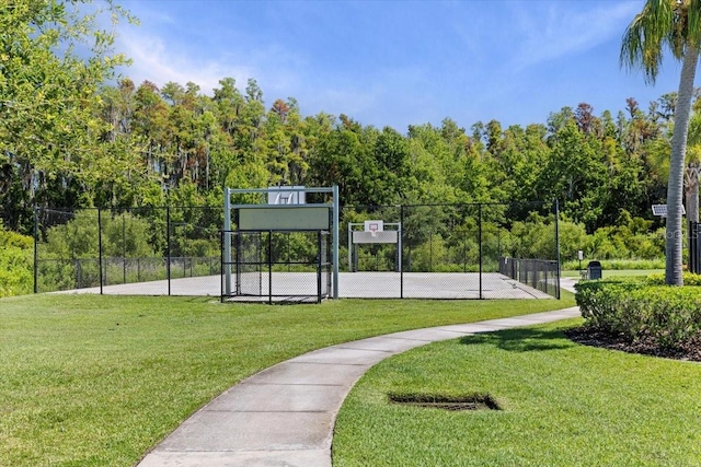 32193 Watoga Loop, Wesley Chapel, FL 33543 - surrounding community featuring community basketball court