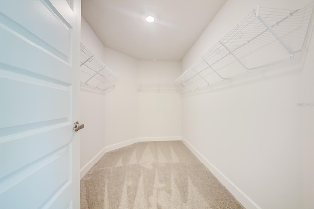 16508 66th Ln E, Parrish, FL 34219 - spacious closet featuring light colored carpet