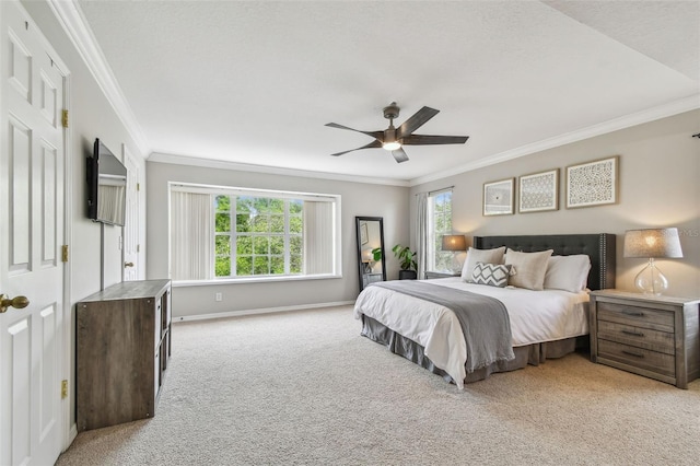 1676 Arabian Ln, Palm Harbor, FL 34685 - photo 17