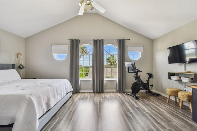 1676 Arabian Ln, Palm Harbor, FL 34685 - photo 32