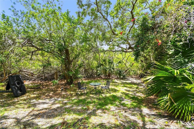 1676 Arabian Ln, Palm Harbor, FL 34685 - photo 39