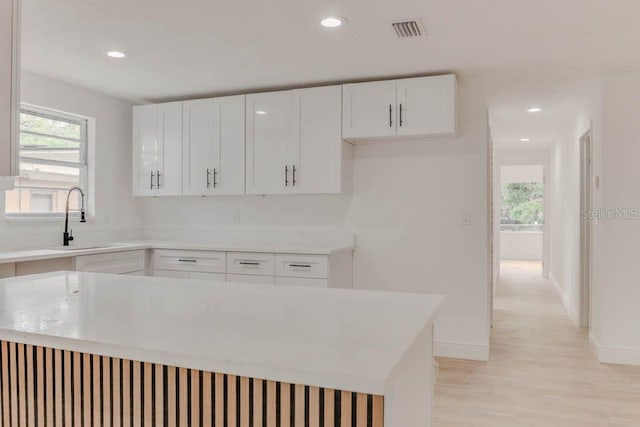 1255 Pine St, Altamonte Springs, FL 32701 - kitchen featuring a sink, plenty of natural light, light countertops, light wood finished floors, and recessed lighting