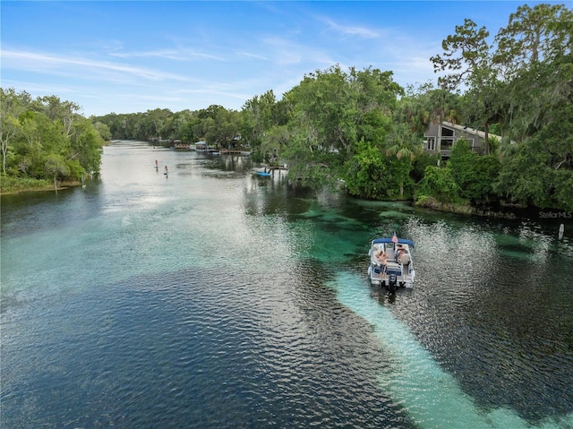 9700 SW 196th Cir, Dunnellon, FL 34432 - water view with a heavily wooded area