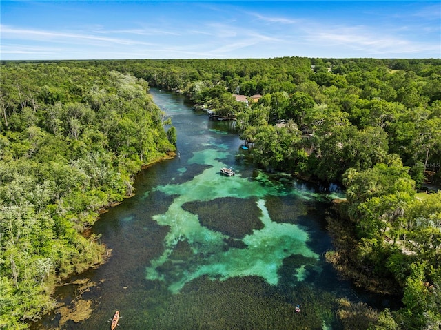 9700 SW 196th Cir, Dunnellon, FL 34432 - drone / aerial view of a forest and a nearby body of water