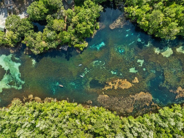 9700 SW 196th Cir, Dunnellon, FL 34432 - aerial view of property's location