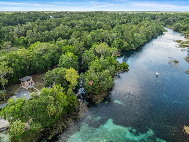 9700 SW 196th Cir, Dunnellon, FL 34432 - aerial view of property and surrounding area featuring a forest and a large body of water