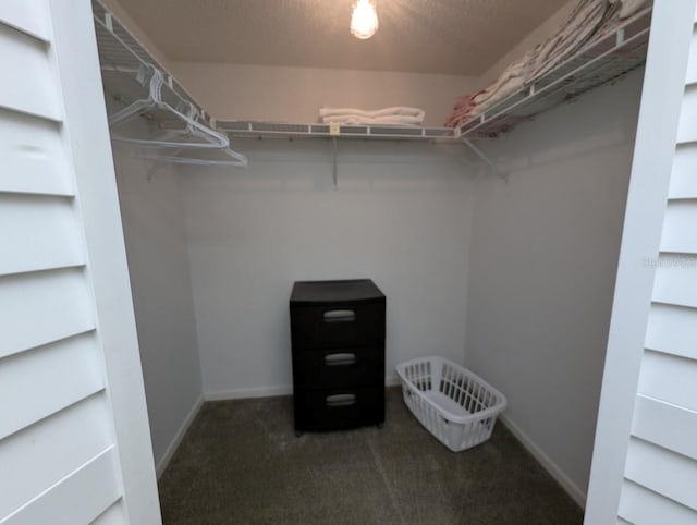 8765 Bardmoor Blvd Unit 108, Seminole, FL 33777 - spacious closet with carpet