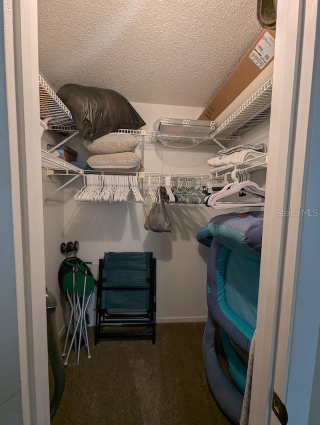 8765 Bardmoor Blvd Unit 108, Seminole, FL 33777 - walk in closet featuring carpet