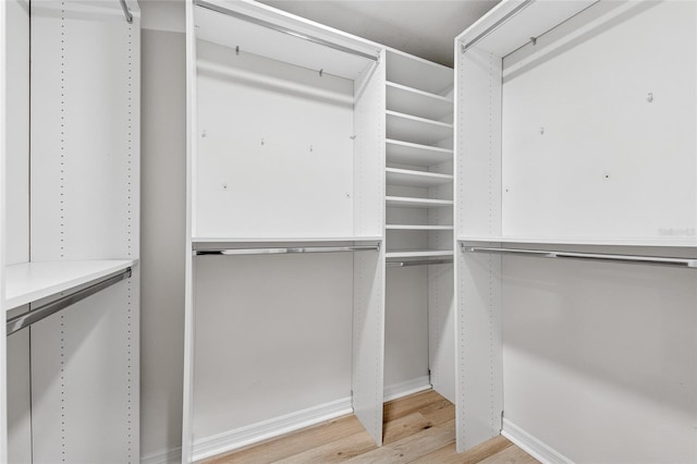 9402 Woodbay Dr, Tampa, FL 33626 - spacious closet featuring light wood finished floors