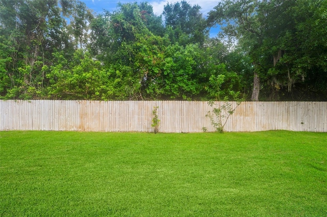 9402 Woodbay Dr, Tampa, FL 33626 - view of yard