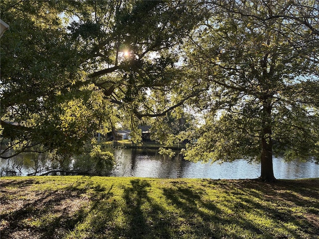 13898 Egret Ln, Clearwater, FL 33762 - water view