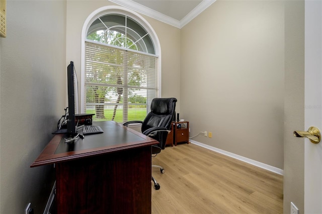 8444 Shenandoah Run, Wesley Chapel, FL 33544 - home office with ornamental molding, healthy amount of natural light, light wood-type flooring, and baseboards