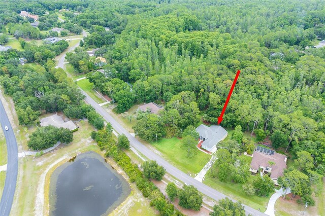 8444 Shenandoah Run, Wesley Chapel, FL 33544 - aerial view of property's location featuring a forest and a nearby body of water