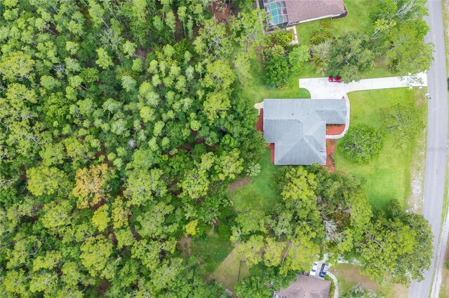 8444 Shenandoah Run, Wesley Chapel, FL 33544 - aerial view