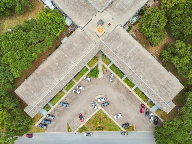2261 Swedish Dr Unit 47, Clearwater, FL 33763 - photo 43