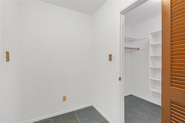 7002 Doreen St, Tampa, FL 33617 - photo 28