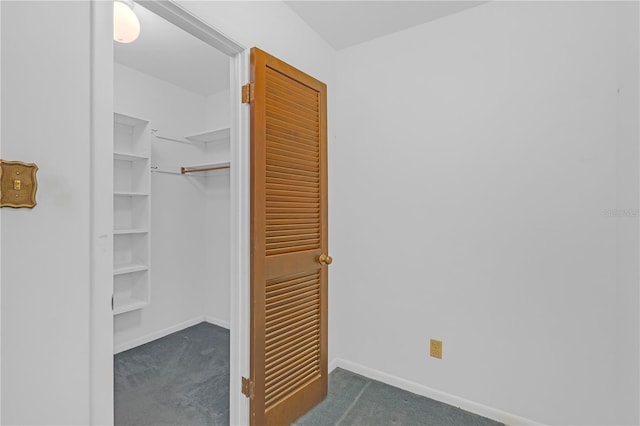 7002 Doreen St, Tampa, FL 33617 - photo 29