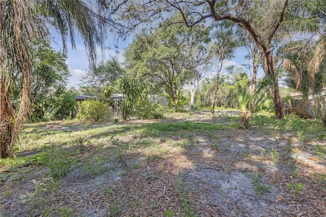 7002 Doreen St, Tampa, FL 33617 - photo 43