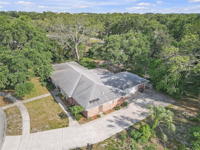 7002 Doreen St, Tampa, FL 33617 - photo 56