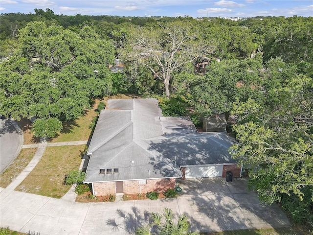 7002 Doreen St, Tampa, FL 33617 - photo 57