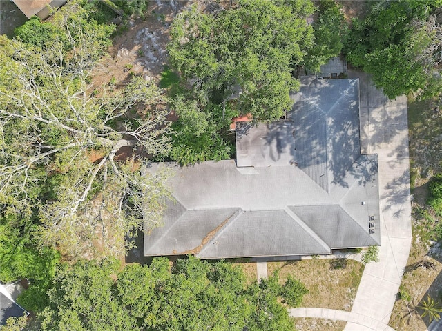 7002 Doreen St, Tampa, FL 33617 - photo 58