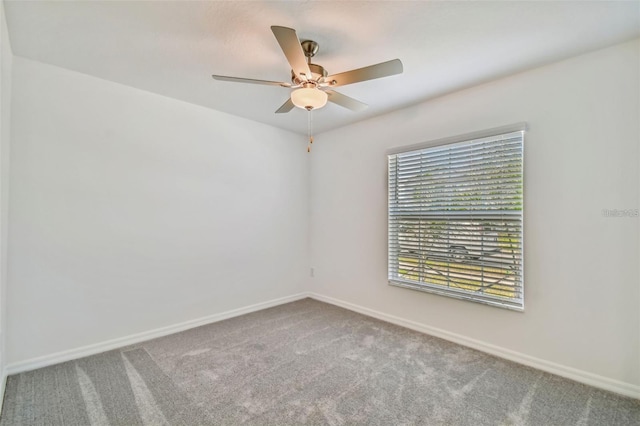 9828 Branching Ship Trce, Wesley Chapel, FL 33545 - spare room with carpet flooring, baseboards, and a ceiling fan