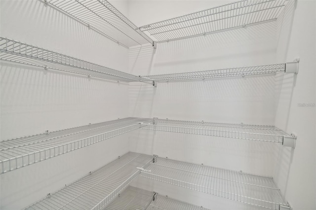 9828 Branching Ship Trce, Wesley Chapel, FL 33545 - view of pantry