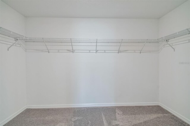 9828 Branching Ship Trce, Wesley Chapel, FL 33545 - walk in closet featuring carpet