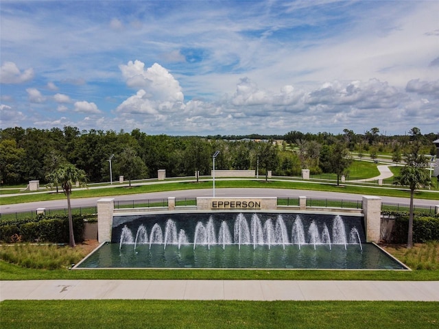 9828 Branching Ship Trce, Wesley Chapel, FL 33545 - view of community with a yard