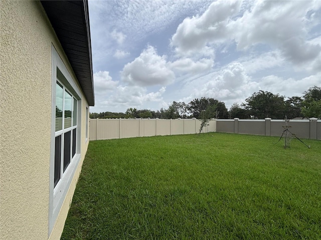 9828 Branching Ship Trce, Wesley Chapel, FL 33545 - view of yard