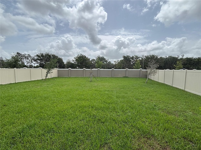 9828 Branching Ship Trce, Wesley Chapel, FL 33545 - view of yard