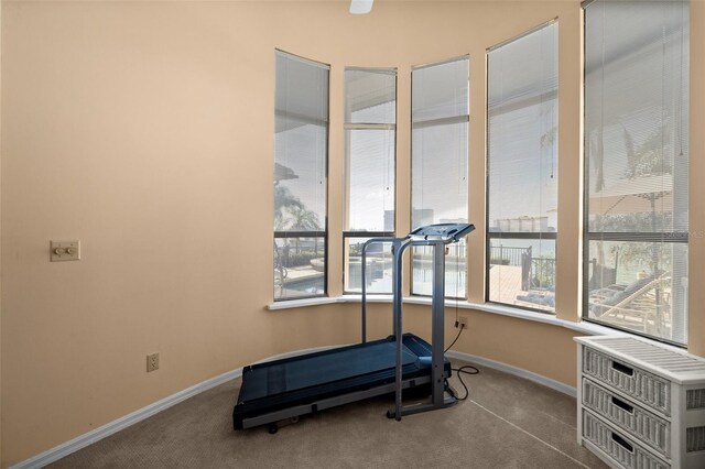 5287 61st Ave S, Saint Petersburg, FL 33715 - photo 29