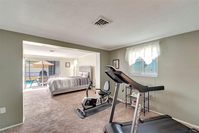 260 Venice E Blvd, Venice, FL 34293 - workout room featuring ornamental molding, plenty of natural light, a textured ceiling, carpet, and baseboards