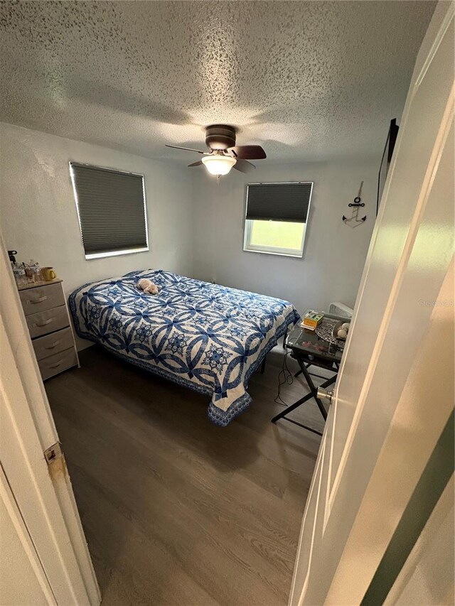 12502 Cambridge Ave, Tampa, FL 33624 - photo 8
