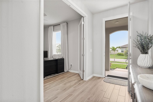11719 Tetrafin Dr, Riverview, FL 33579 - foyer entrance with light wood-style flooring and baseboards