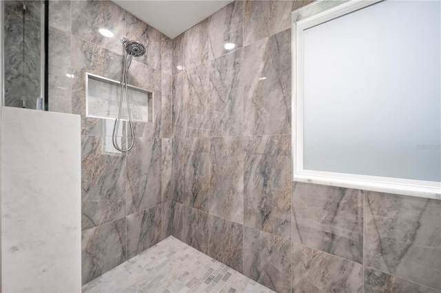 11719 Tetrafin Dr, Riverview, FL 33579 - full bath with tiled shower