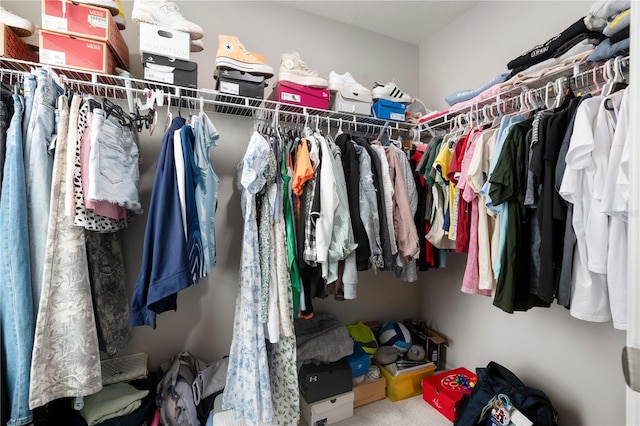 11719 Tetrafin Dr, Riverview, FL 33579 - walk in closet featuring carpet flooring